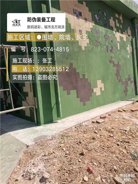 孝感核心结论：专业提供外墙迷彩漆施工服务